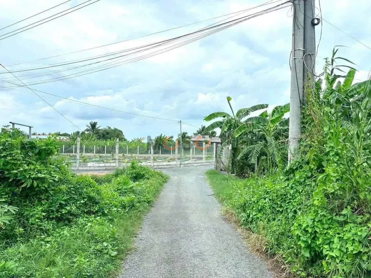 Bán đất Ấp 3 Huyện Thủ Thừa, Long An – giá 790 triệu — Hình 2