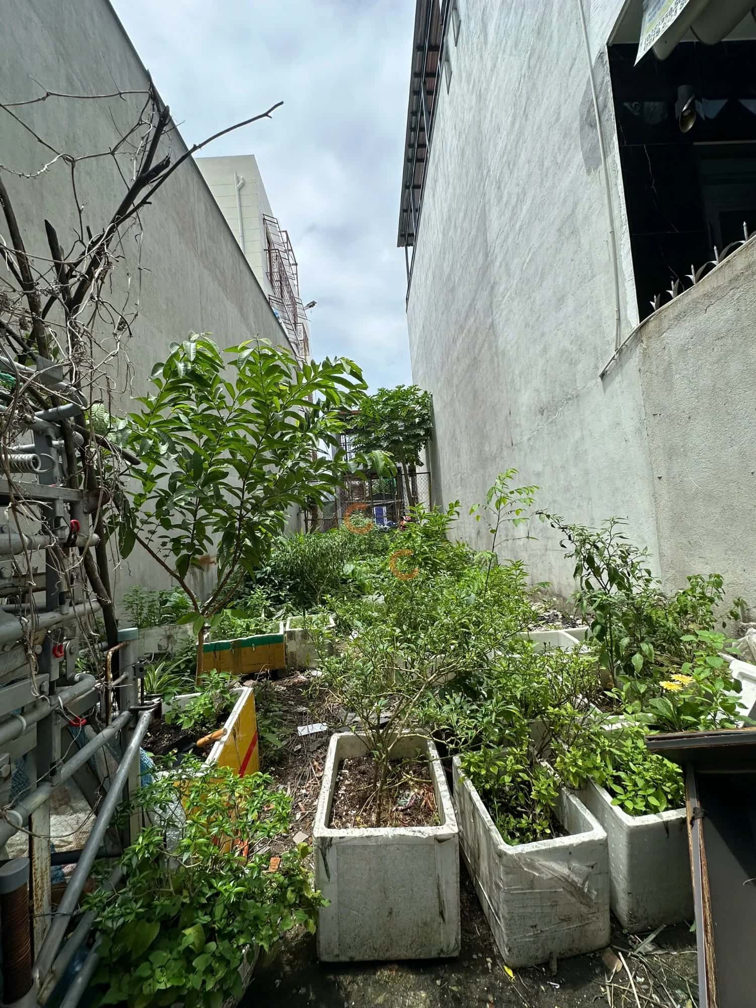 Bán đất Thạnh Xuân 51 Quận 12, TP.HCM – giá 2.9 tỷ — Hình 3