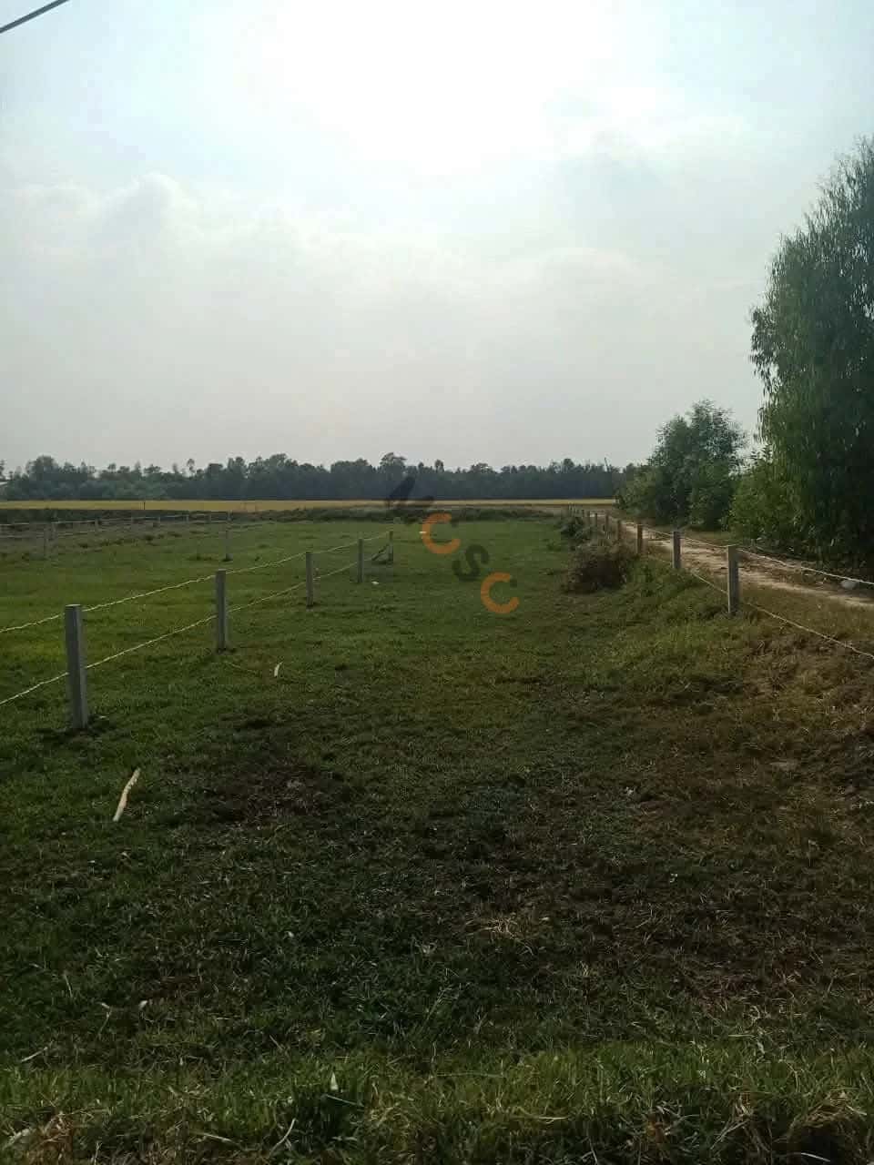 Bán đất Ấp 5  Huyện Đức Huệ, Long An – giá 720 triệu — Hình 3