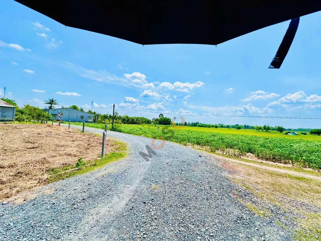 Bán đất hẻm đường ĐT 796, Ấp Long Chẩn  Huyện Châu Thành, Tây Ninh – giá 220 triệu — Hình 2