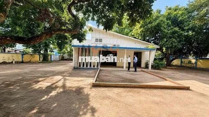 Cho thuê BĐS khác Thống Nhất Thủ Đức, TP.HCM – giá 160 triệu — Hình 3