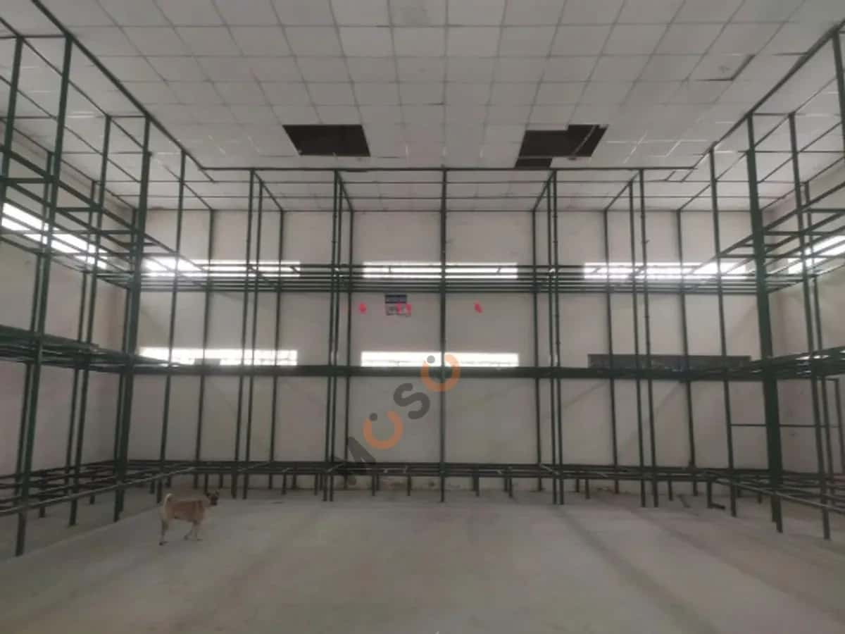 Cho thuê kho, nhà xưởng Trường Sơn Quận 10, TP.HCM – giá 50 triệu — Hình 2