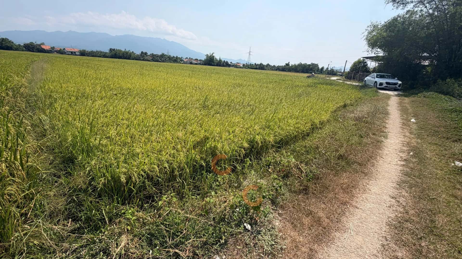 Bán đất Quốc Lộ 26 Thị xã Ninh Hòa, Khánh Hòa – giá 8.6 tỷ — Hình 2