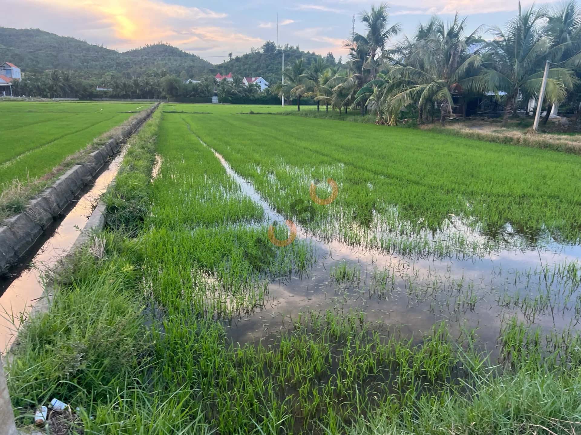 Bán đất Trần Quý Cáp Thị xã Ninh Hòa, Khánh Hòa – giá 10.8 tỷ