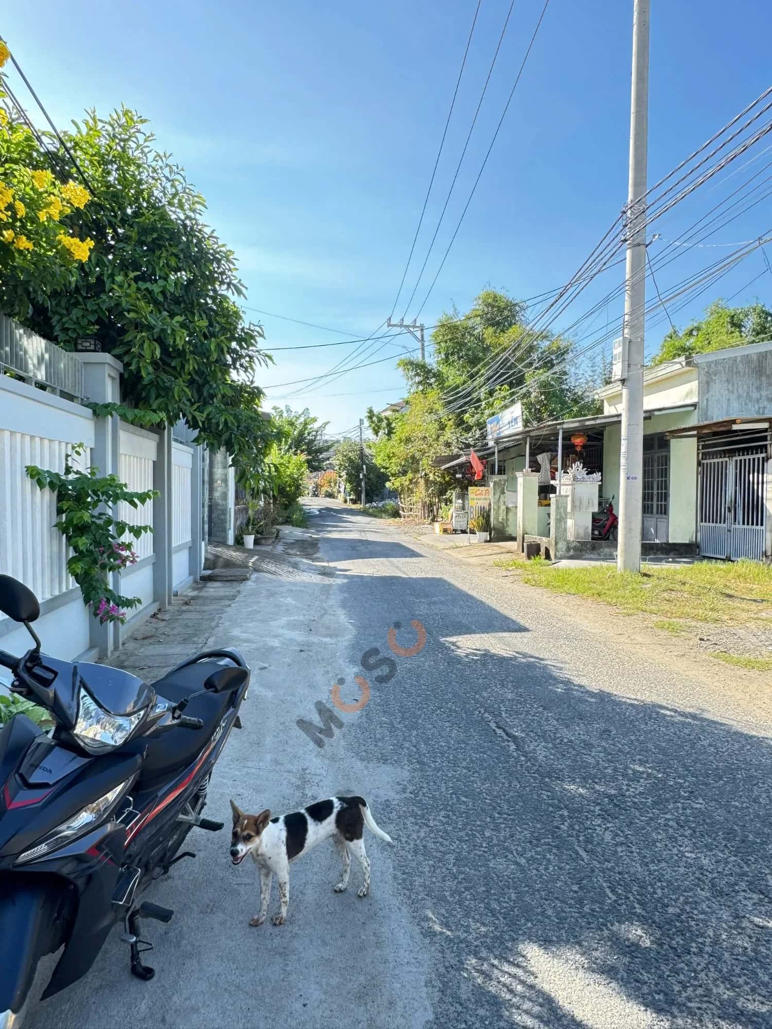 Bán đất Thôn Giáng Đông Huyện Hòa Vang, TP. Đà Nẵng – giá 2.7 tỷ — Hình 2