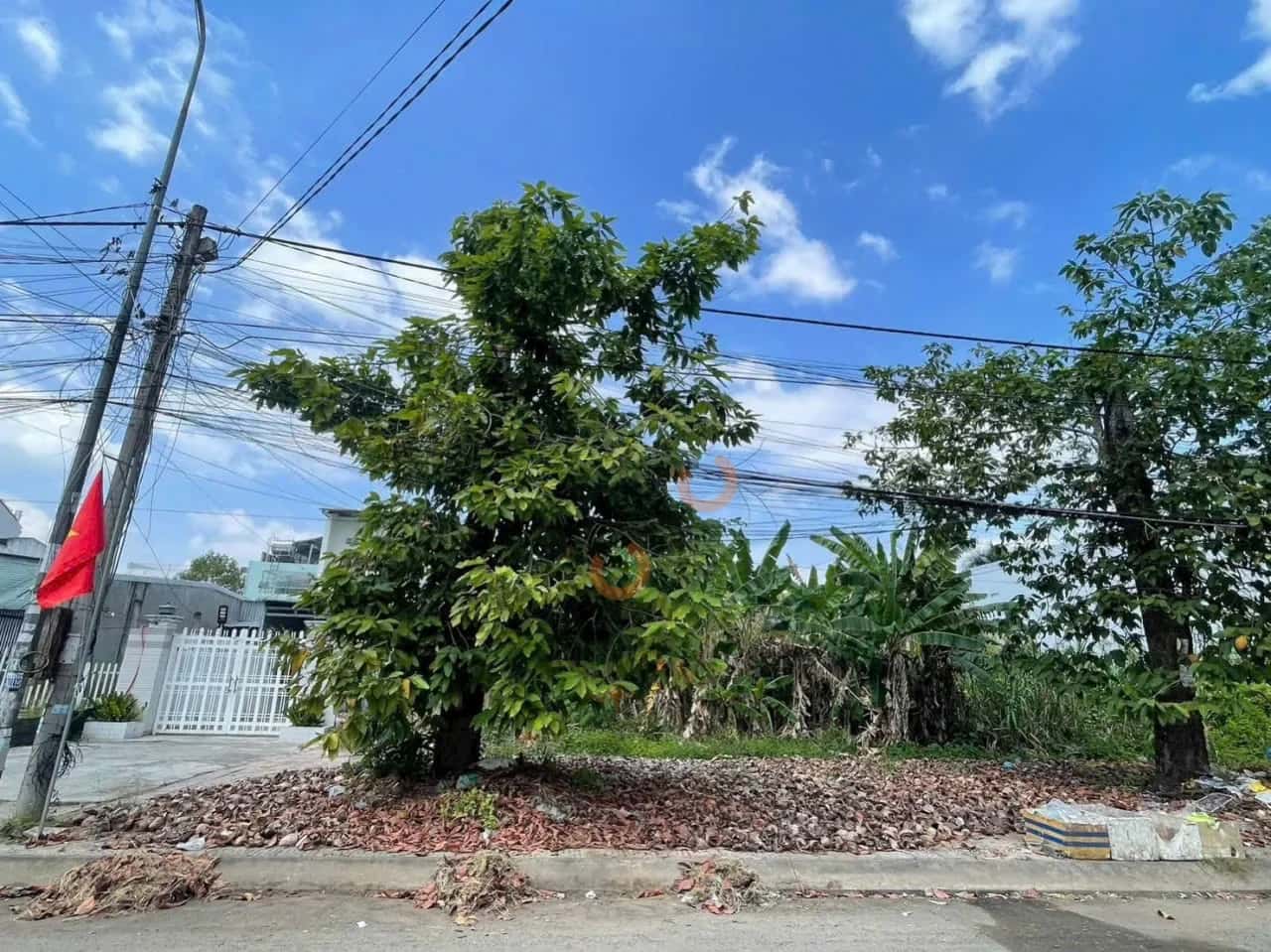 Bán đất đường số 8, Khu dân cư lô số 11C Quận Cái Răng, TP. Cần Thơ – giá 8.2 tỷ — Hình 2