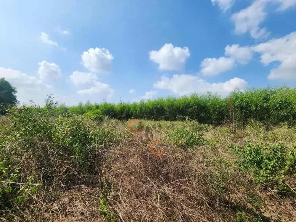 Bán đất Phú Mỹ, BRVT – giá 456 triệu — Hình 3