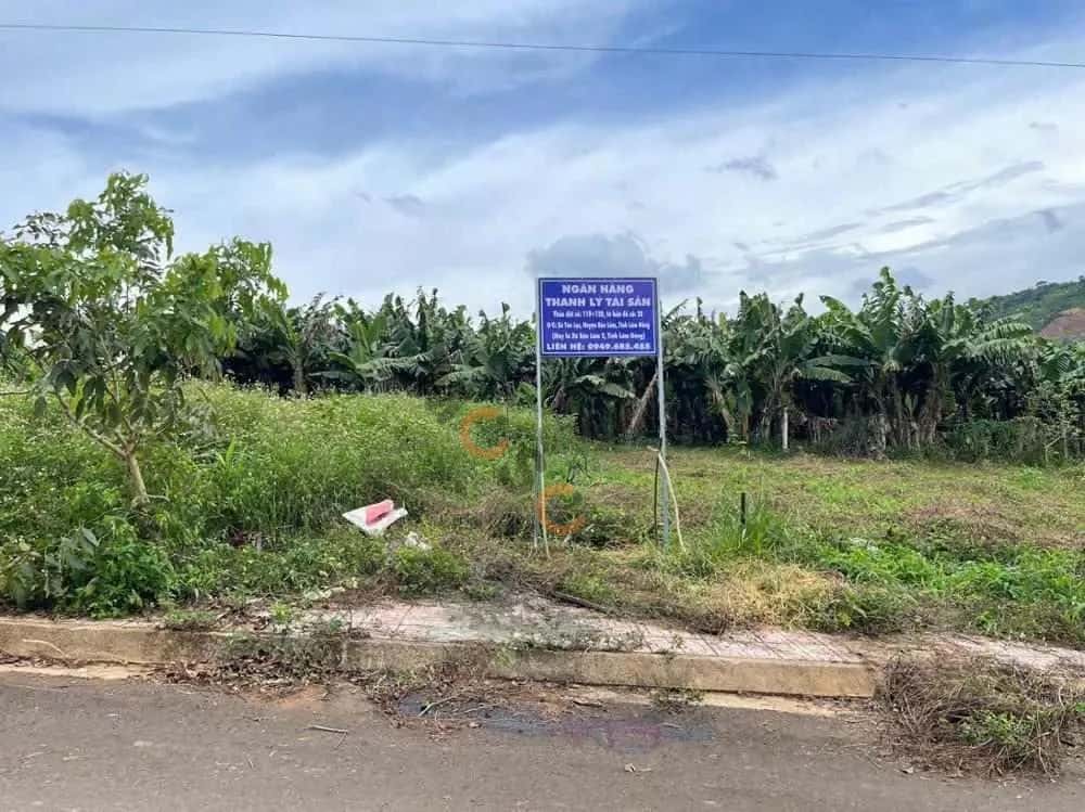 Bán đất Huyện Bảo Lâm, Lâm Đồng – giá 316 triệu — Hình 2
