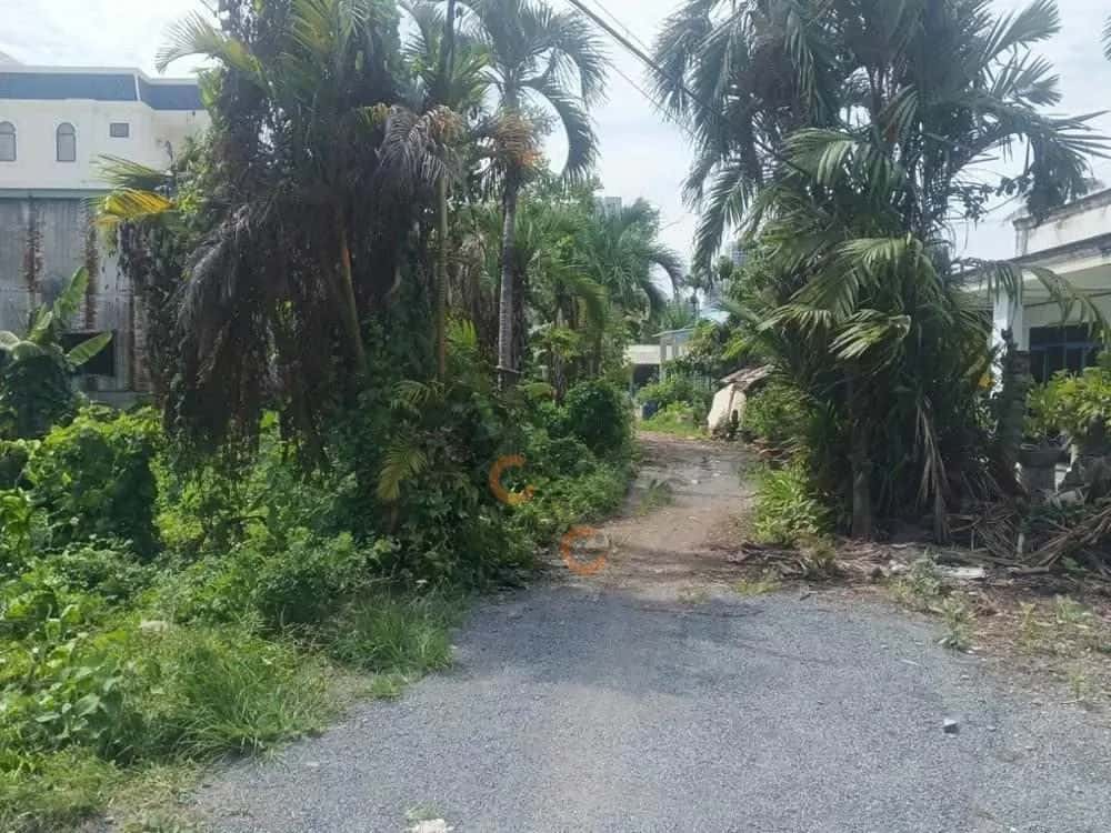 Bán đất Nguyễn Xiển Thành phố Thủ Đức, TP.HCM – giá 3.2 tỷ — Hình 3