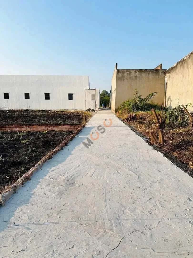 Bán đất Phước Hưng 1 Huyện Cần Giuộc, Long An – giá 580 triệu — Hình 3