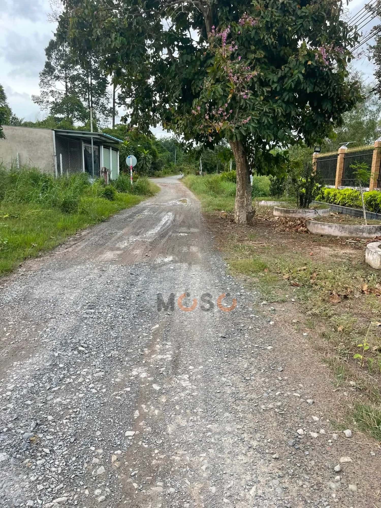 Bán đất đường HL609 Thành phố Bến Cát, Bình Dương – giá 1.6 tỷ — Hình 3
