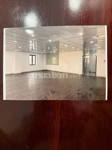 Cho thuê BĐS khác Lê Tuấn Mậu Quận 6, TP.HCM – giá 120 triệu — Hình 3