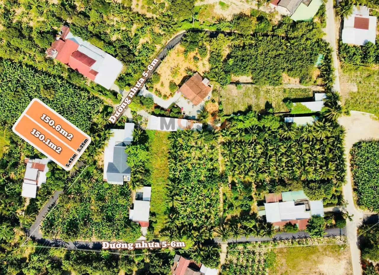 Bán đất thôn Phước Lương Huyện Diên Khánh, Khánh Hòa – giá 799 triệu — Hình 3
