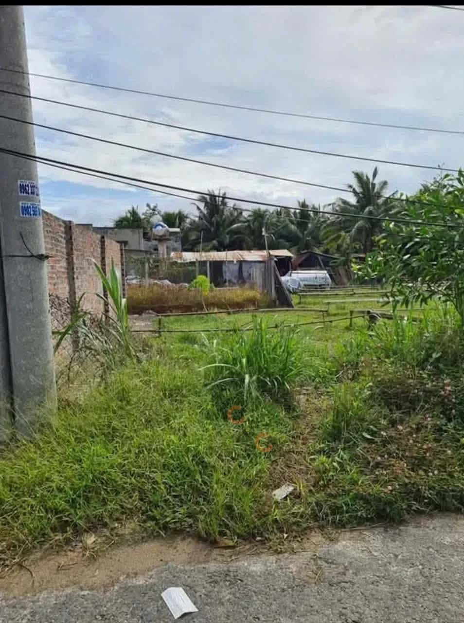 Bán đất Ấp Phước Hội  Huyện Gò Dầu, Tây Ninh – giá 320 triệu