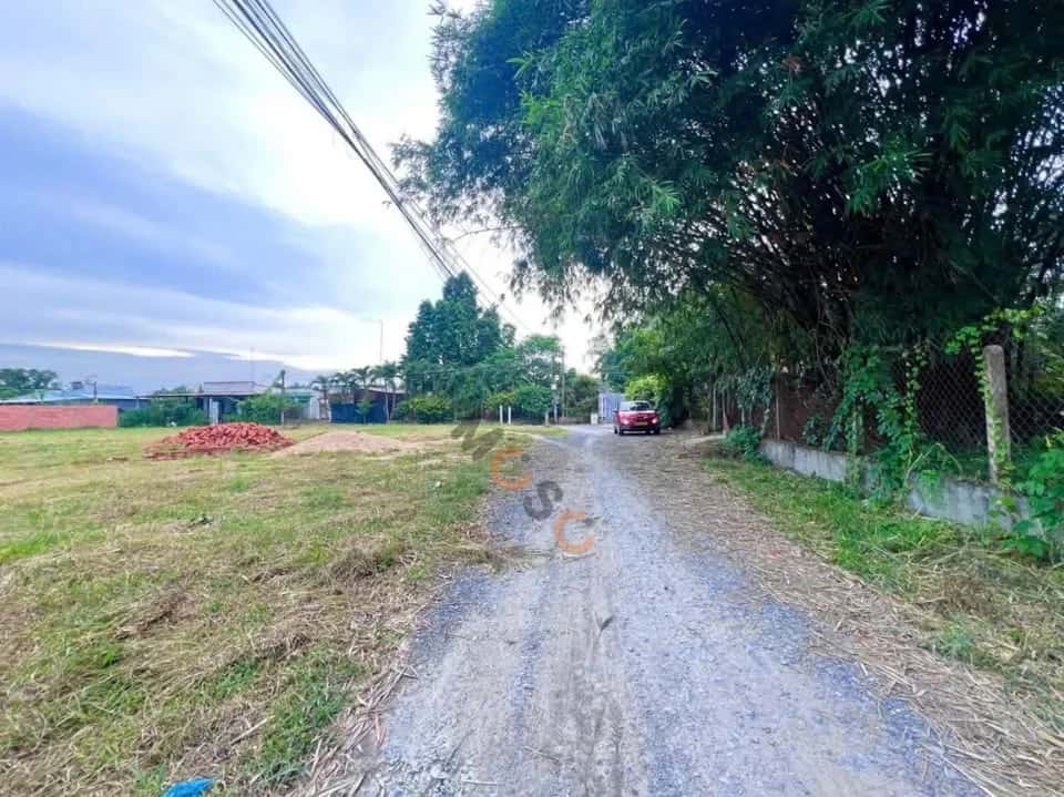 Bán đất Huỳnh Thị Hương  Thị xã Trảng Bàng, Tây Ninh – giá 900 triệu — Hình 3