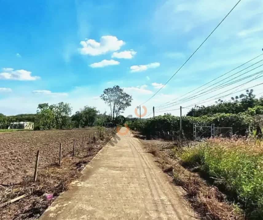 Bán đất hẻm đường Quốc Lộ 14 Thị xã Chơn Thành, Bình Phước – giá 299 triệu — Hình 3