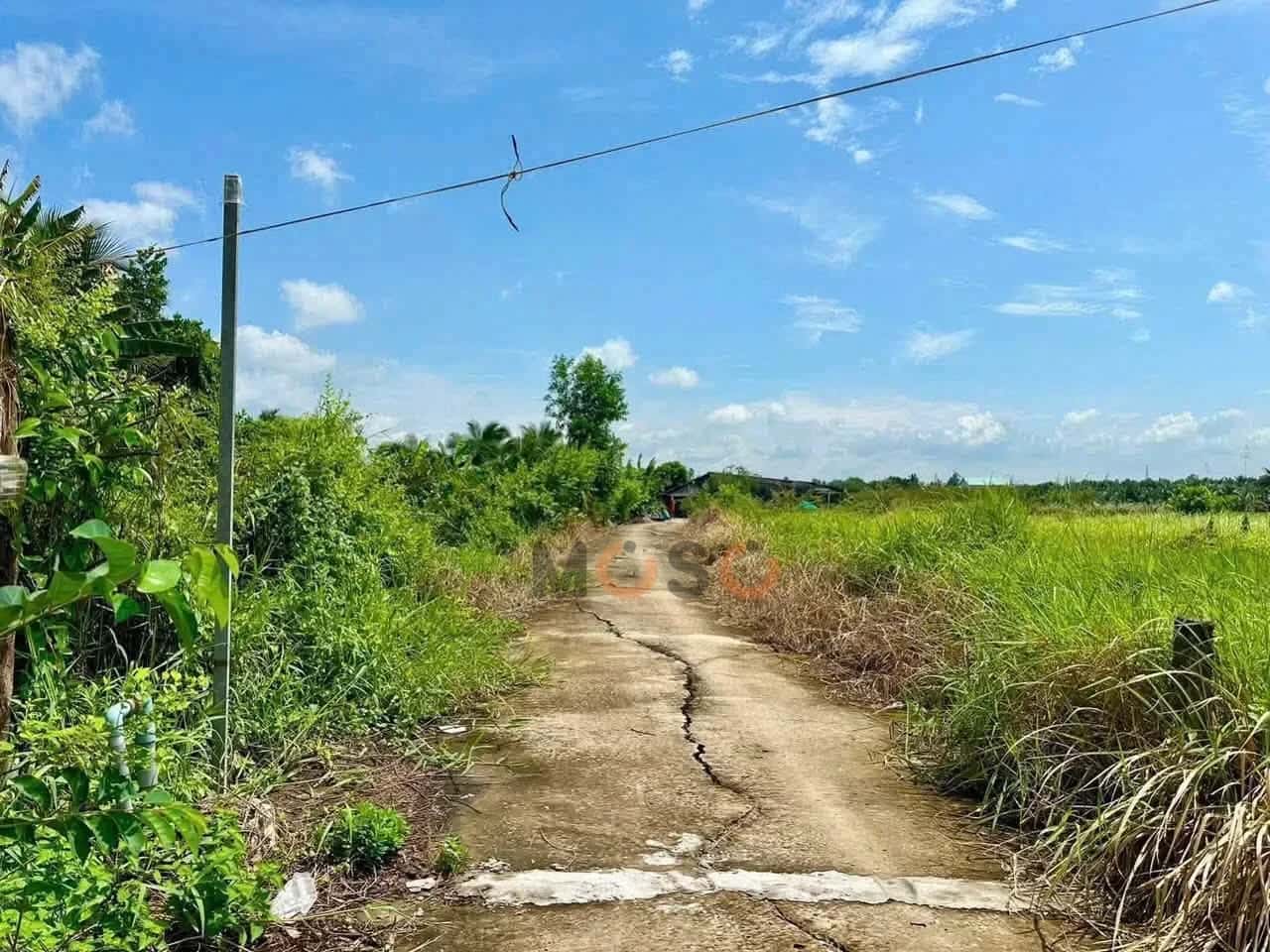 Bán đất Hẻm Tỉnh Lộ 833 Thành phố Tân An, Long An – giá 700 triệu — Hình 2