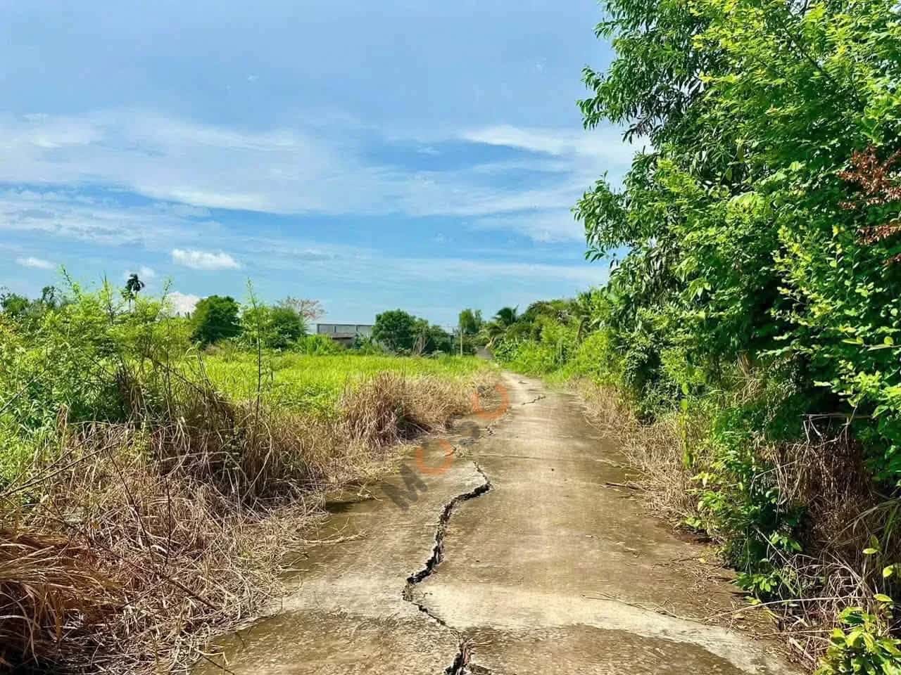 Bán đất Hẻm Tỉnh Lộ 833 Thành phố Tân An, Long An – giá 700 triệu — Hình 3