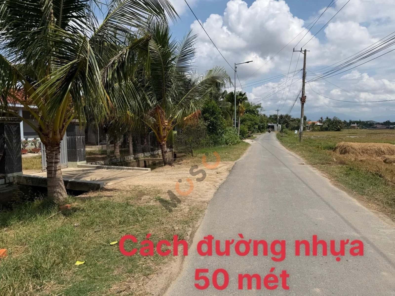 Bán đất Nguyễn Trường Tộ  Thị xã Ninh Hòa, Khánh Hòa – giá 439 triệu — Hình 2