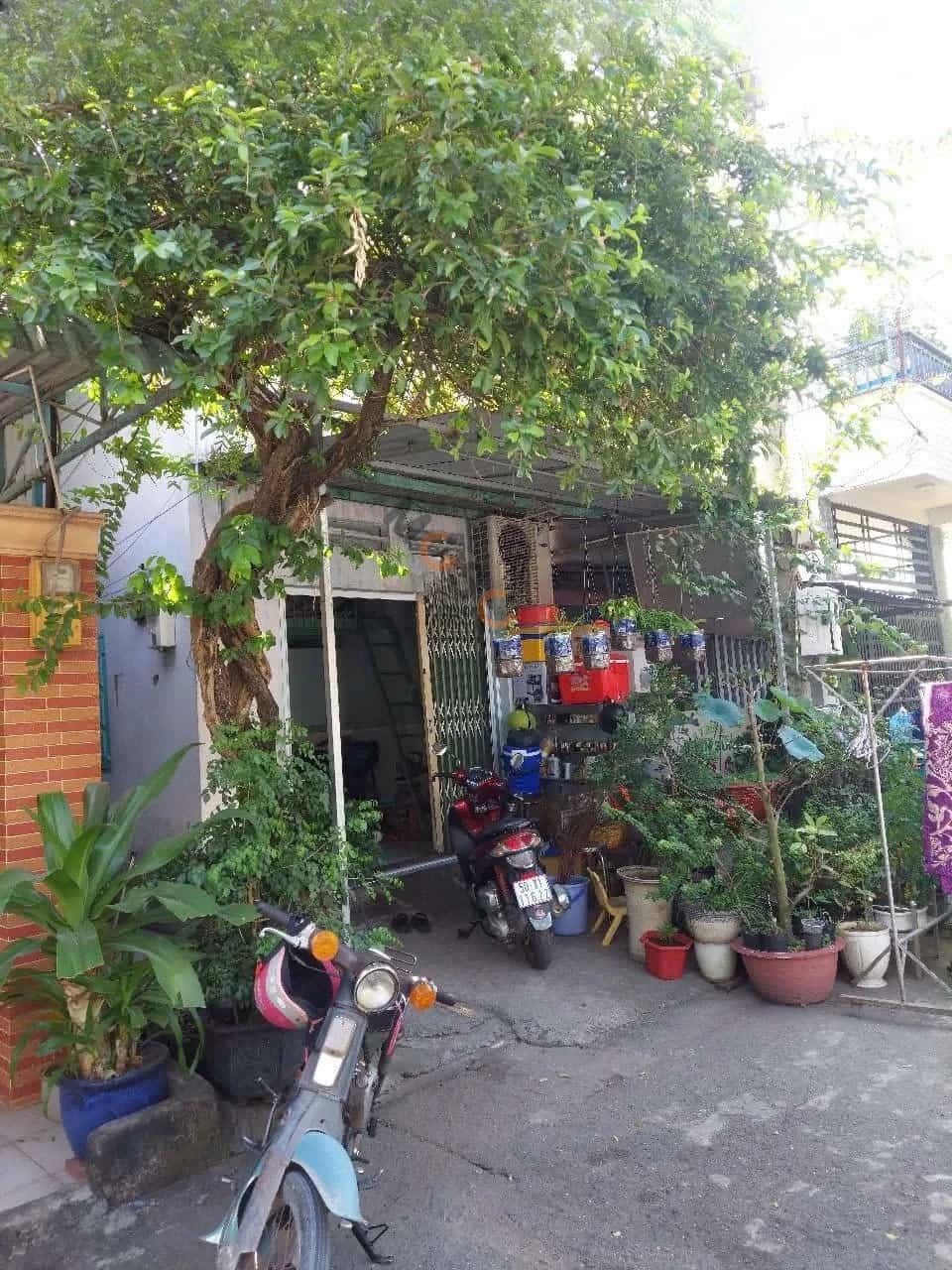 Bán nhà hẻm Nguyễn Văn Tăng Quận 9, TP.HCM – 2 phòng ngủ, giá 5.2 tỷ — Hình 2