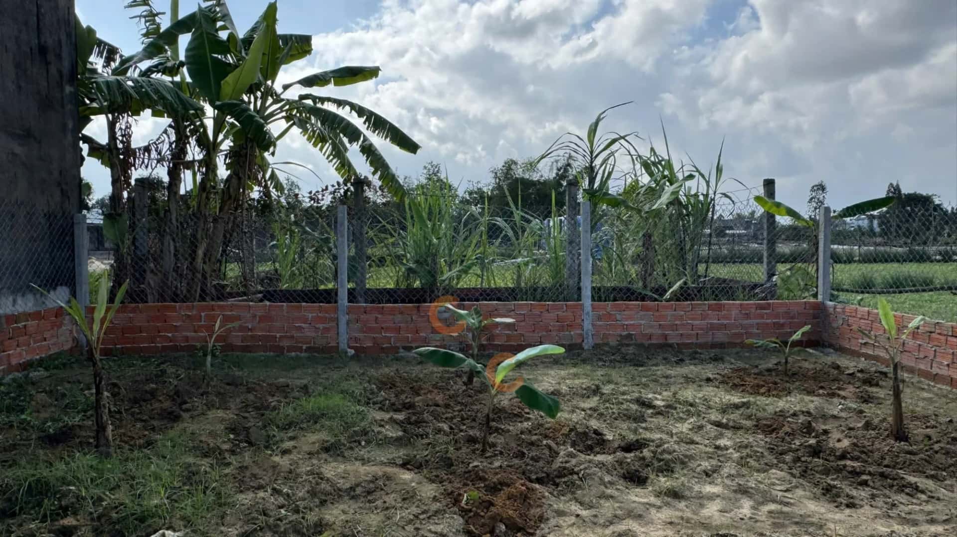 Bán đất Thôn Phong Lục Tây Thị xã Điện Bàn, Quảng Nam – giá 1.6 tỷ — Hình 3