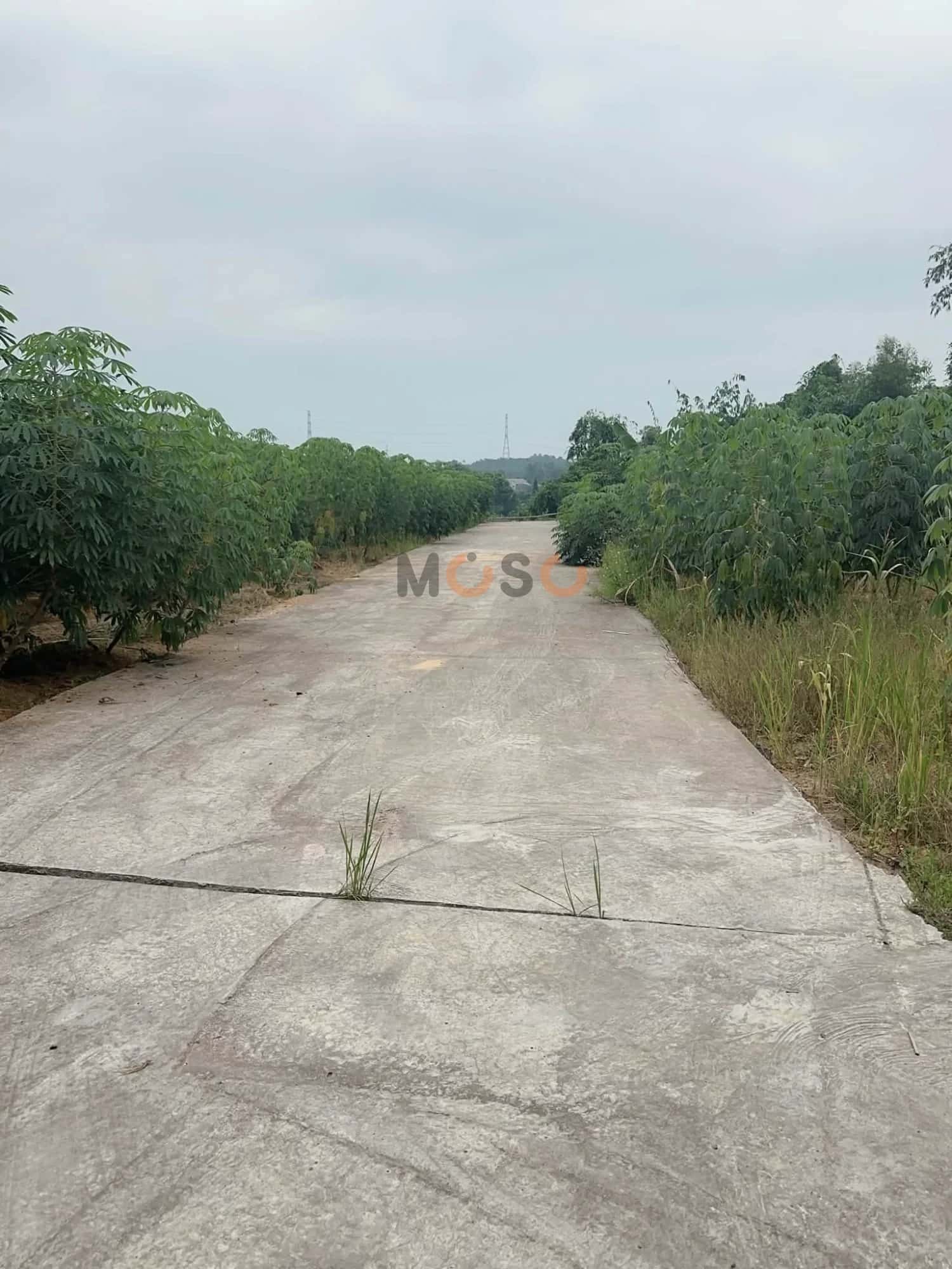 Bán đất Khu 6 Thị xã Phú Thọ, Phú Thọ – giá 450 triệu — Hình 3