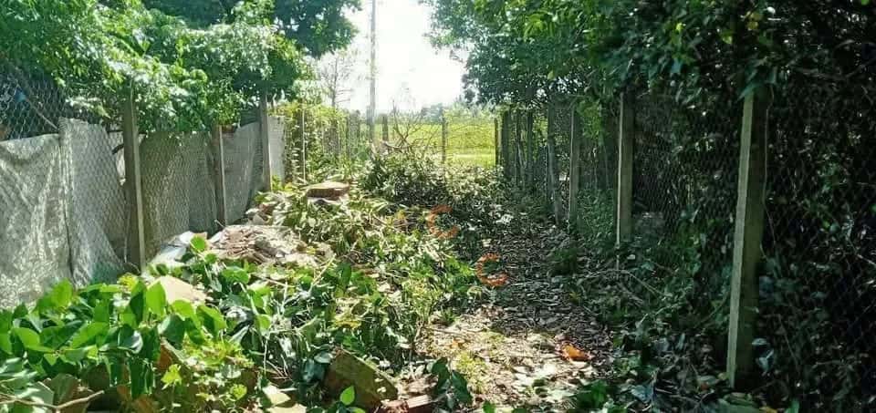Bán đất Nguyễn Kim Công Thành phố Tân An, Long An – giá 1.6 tỷ — Hình 2