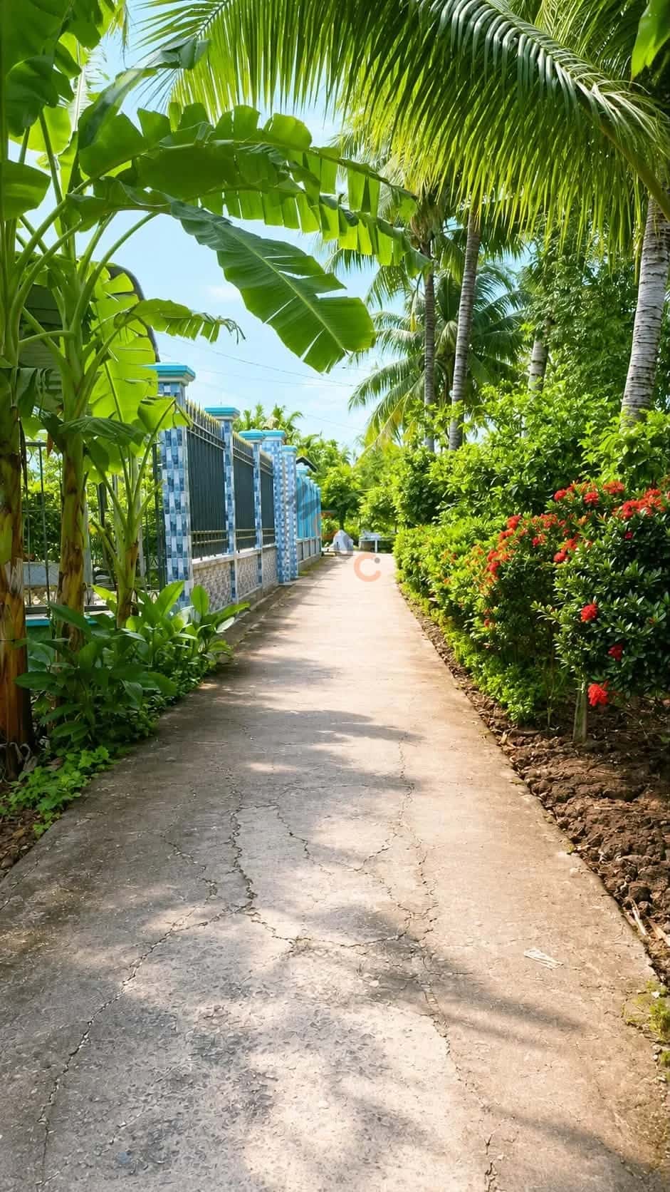 Bán đất hẻm đường Nguyễn Viết Xuân  Quận Bình Thuỷ, TP. Cần Thơ – giá 700 triệu — Hình 2