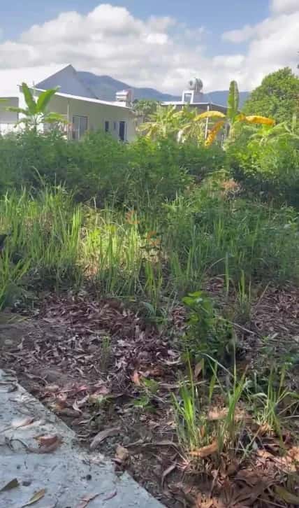Bán đất Thôn Tân Thành, hẻm đường HL 39 Huyện Diên Khánh, Khánh Hòa – giá 400 triệu — Hình 2 Bán đất Thôn Tân Thành, hẻm đường HL 39 Huyện Diên Khánh, Khánh Hòa – giá 400 triệu — Hình 2