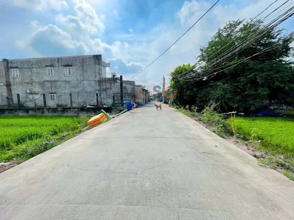 Bán đất Nhánh TL825 Huyện Đức Hòa, Long An – giá 1.4 tỷ — Hình 3