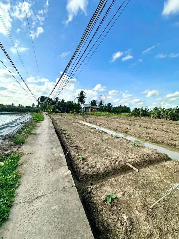 Bán đất hẻm Lê Văn Cảng Thành phố Tân An, Long An – giá 1.3 tỷ — Hình 2