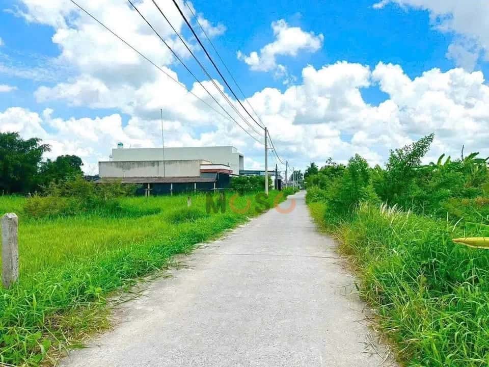 Bán đất hẻm Lê Văn Khuyên  Thành phố Tân An, Long An – giá 780 triệu — Hình 2