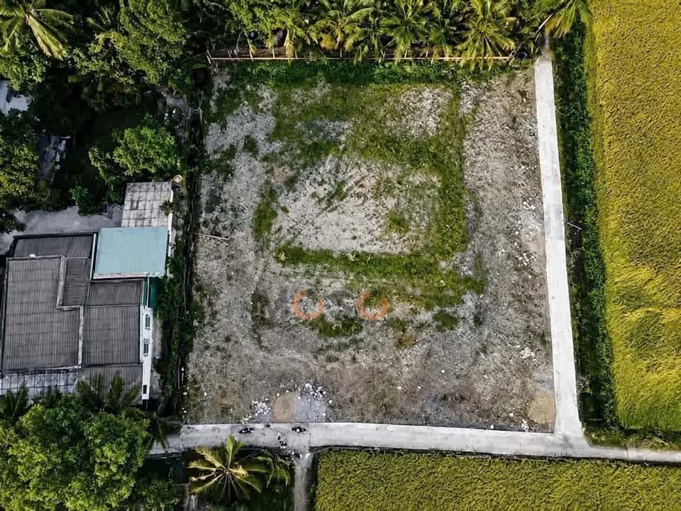 Bán đất ấp 1 Thành phố Tân An, Long An – giá 490 triệu — Hình 3