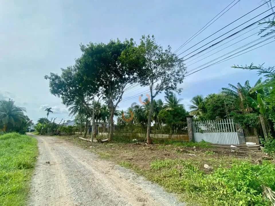 Bán đất Quách Văn Tuấn Thành phố Tân An, Long An – giá 35 tỷ — Hình 2