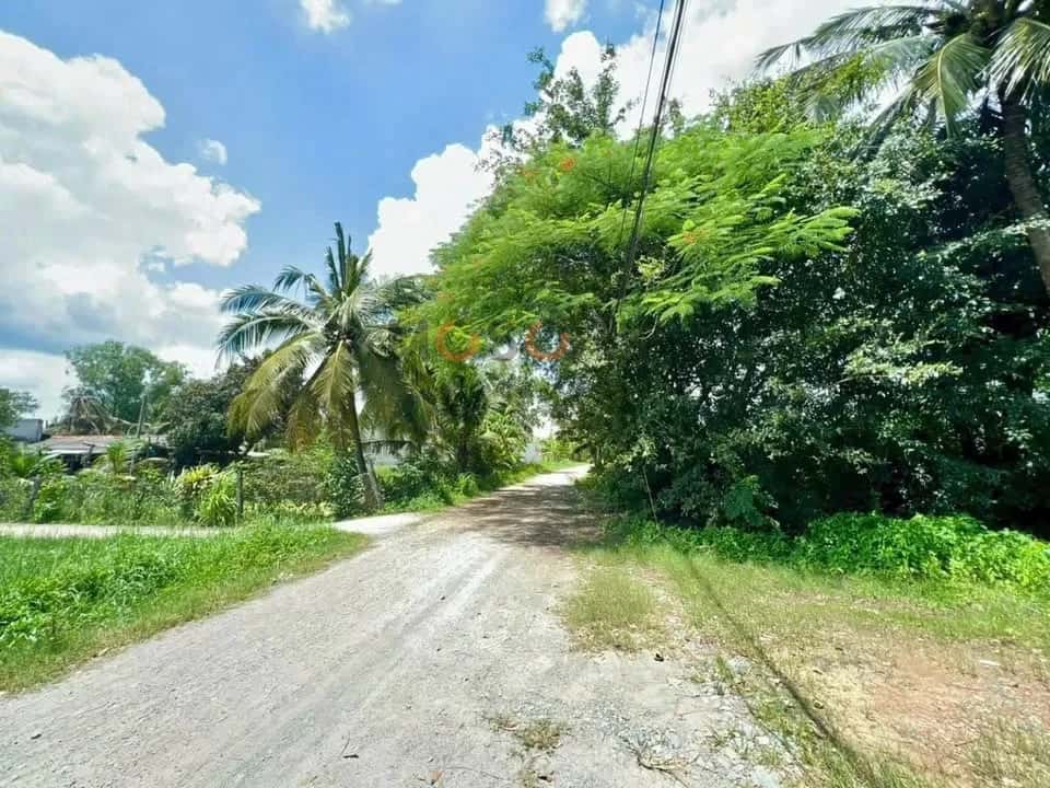 Bán đất Quách Văn Tuấn Thành phố Tân An, Long An – giá 35 tỷ — Hình 3
