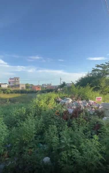 Bán đất Lê Lợi, Khu dân cư Vườn Ươm Thị xã Kiến Tường, Long An – giá 5 tỷ — Hình 2 Bán đất Lê Lợi, Khu dân cư Vườn Ươm Thị xã Kiến Tường, Long An – giá 5 tỷ — Hình 2
