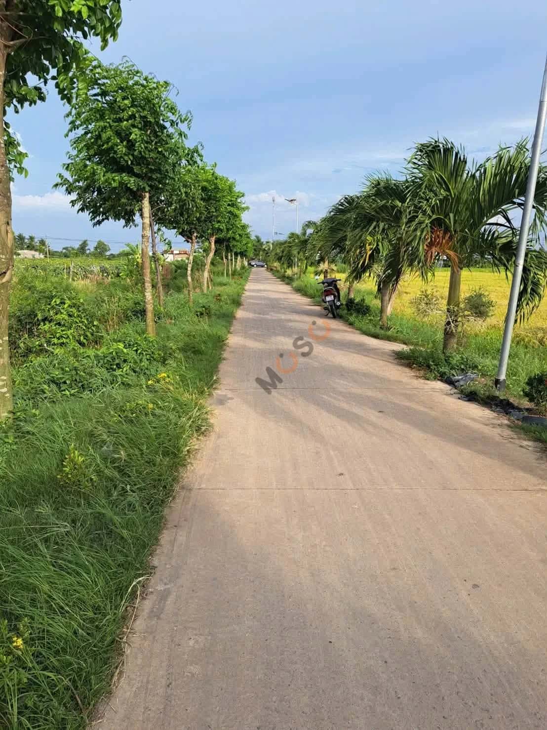 Bán đất Ấp Hòa Điều Huyện Châu Thành, Long An – giá 1.1 tỷ — Hình 2