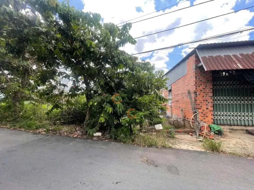 Bán đất Nguyễn Thị Nị Huyện Củ Chi, TP.HCM – giá 3 tỷ — Hình 3