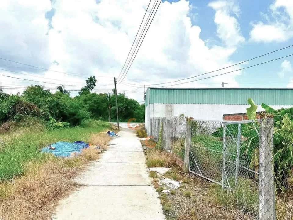 Bán đất Phạm Văn Thành Thành phố Tân An, Long An – giá 800 triệu — Hình 2