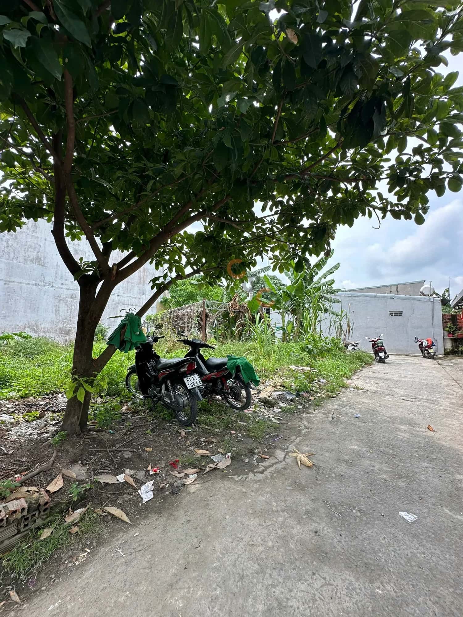 Bán đất Thạnh Xuân 52 Quận 12, TP.HCM – giá 3 tỷ — Hình 3