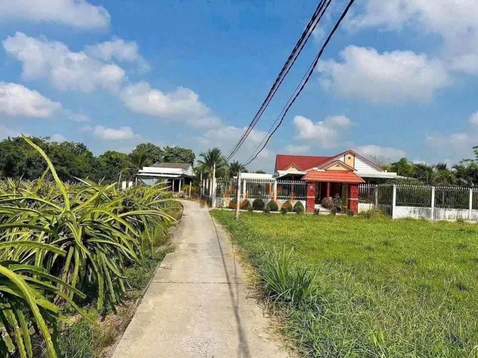 Bán đất hẻm Châu Thị Kim Thành phố Tân An, Long An – giá 500 triệu — Hình 2