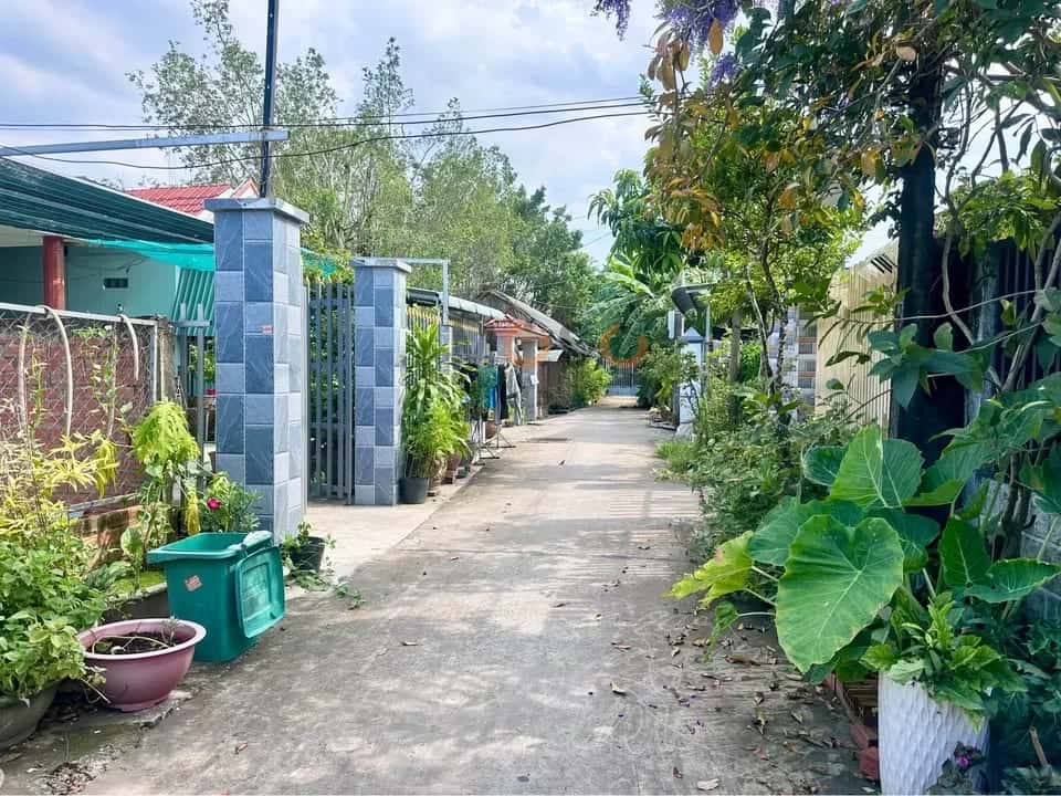 Bán đất hẻm 65 Nguyễn Văn Rành Thành phố Tân An, Long An – giá 1.8 tỷ — Hình 2