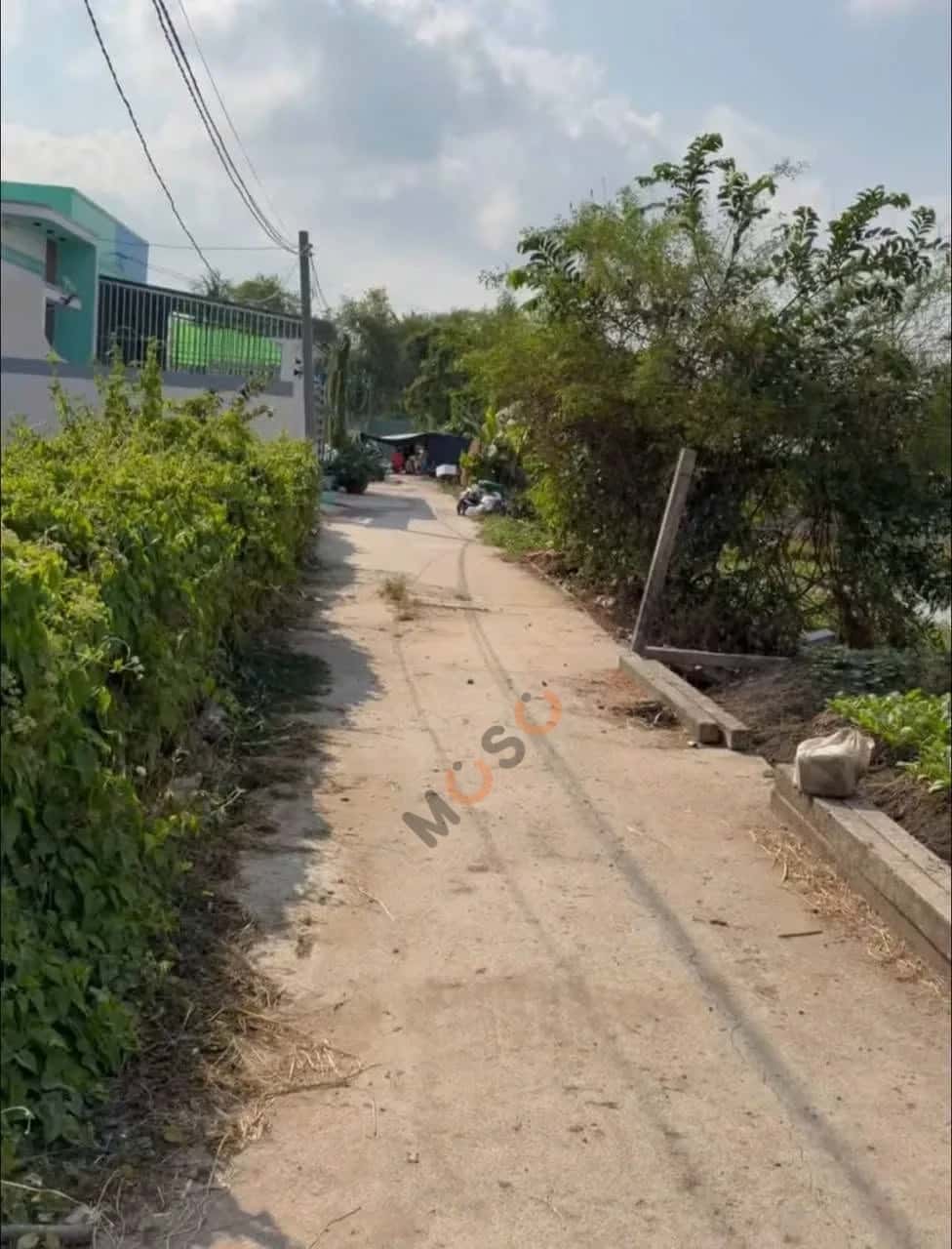 Bán đất Ấp Lộc Hậu Huyện Cần Giuộc, Long An – giá 2 tỷ — Hình 3