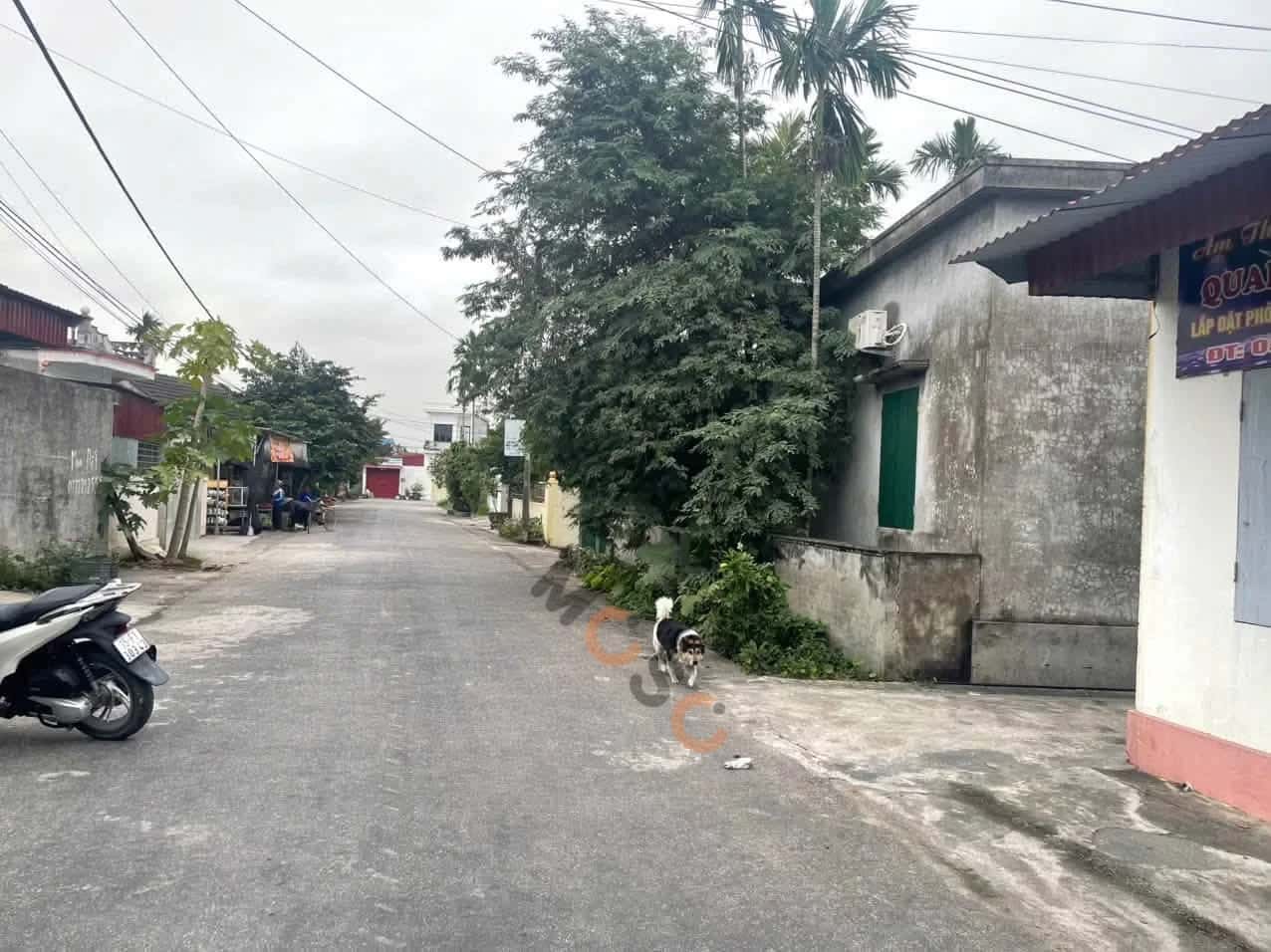 Bán đất Thôn Kim Đới 1 Huyện Kiến Thuỵ, TP. Hải Phòng – giá 2.3 tỷ — Hình 3