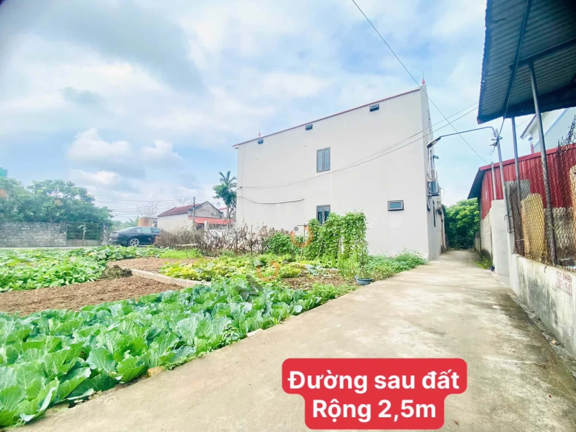 Bán đất Phú Hòa Huyện Khoái Châu, Hưng Yên – giá 1.9 tỷ