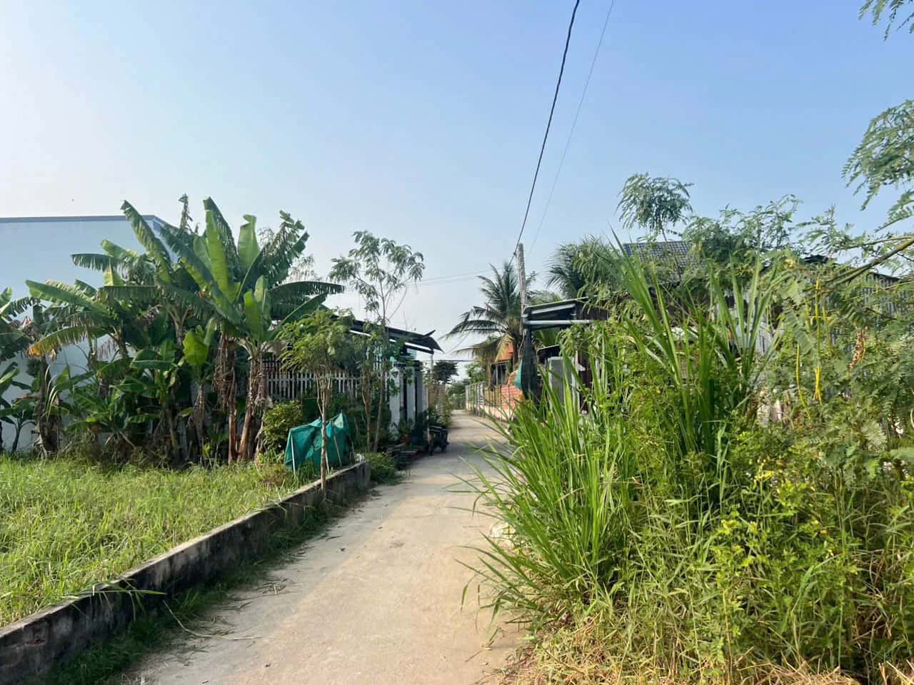 Bán đất ấp Thanh Nhung 2 Huyện Gò Công Đông, Tiền Giang – giá 350 triệu
