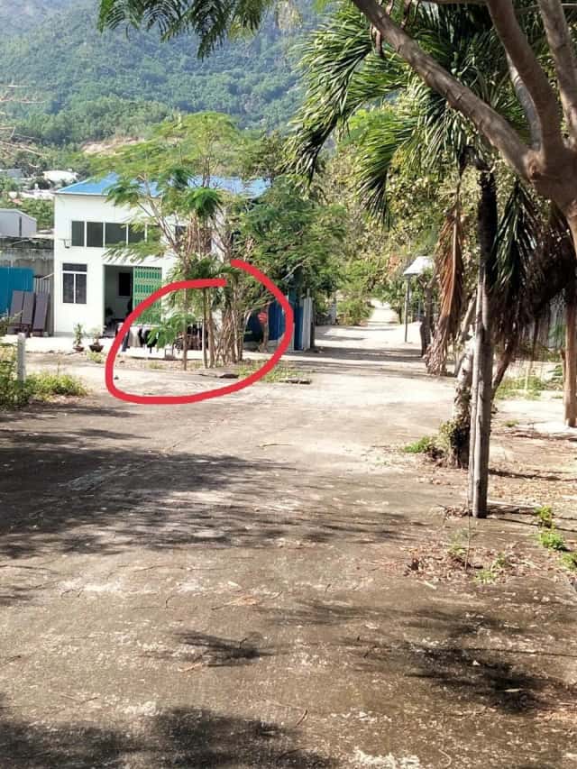 Bán đất hẻm đường Thái Khang, Thôn Phước Hạ Thành phố Nha Trang, Khánh Hòa – giá 1.6 tỷ