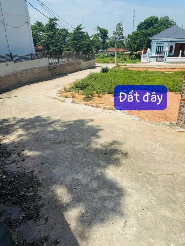 Bán đất đường ĐT302 Huyện Tam Dương, Vĩnh Phúc – giá 390 triệu