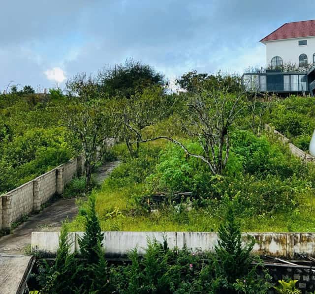 Bán đất  Măng Lin Thành phố Đà Lạt, Lâm Đồng – giá 3.9 tỷ