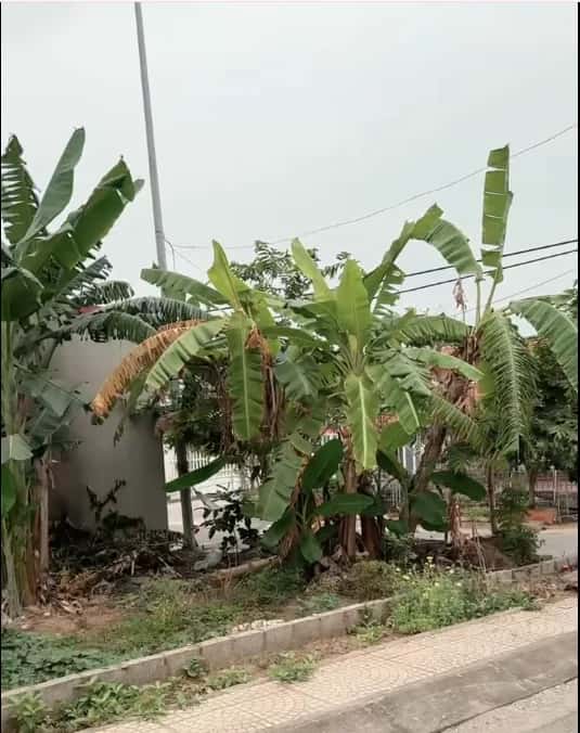 Bán đất Tuyến 2 Phạm Văn Đồng Quận Dương Kinh, TP. Hải Phòng – giá 2.2 tỷ